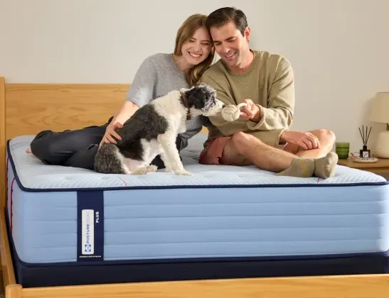 547x420-blog-sealy-vs-tempur-how-long-last-05